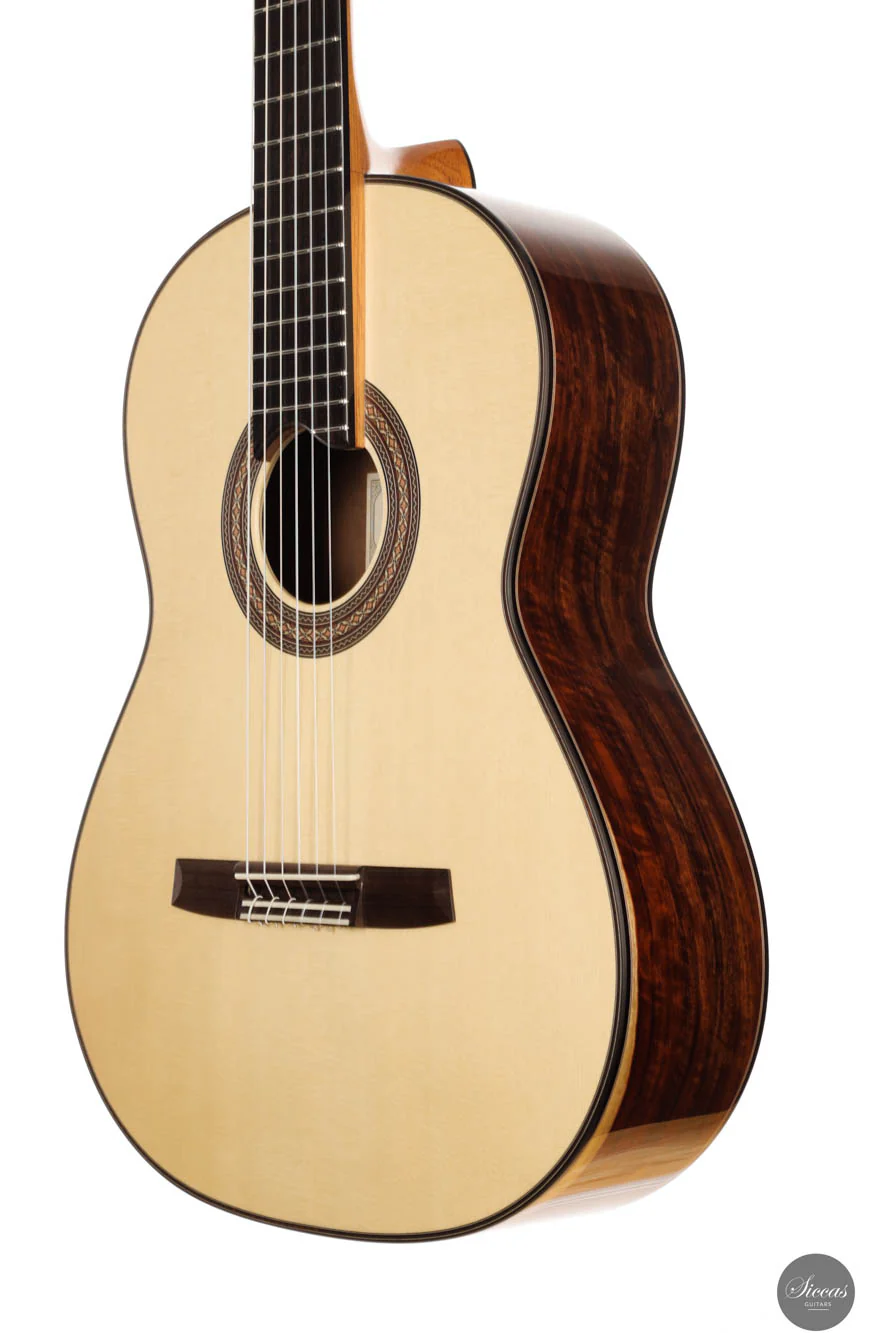Armin Hanika - New Century Doubletop Custom - Image 16
