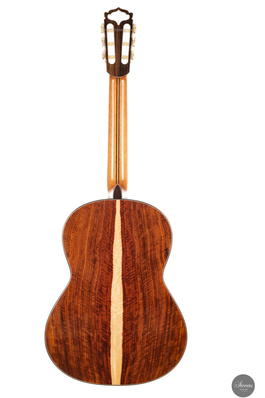 Armin Hanika - New Century Doubletop Custom - Image 19