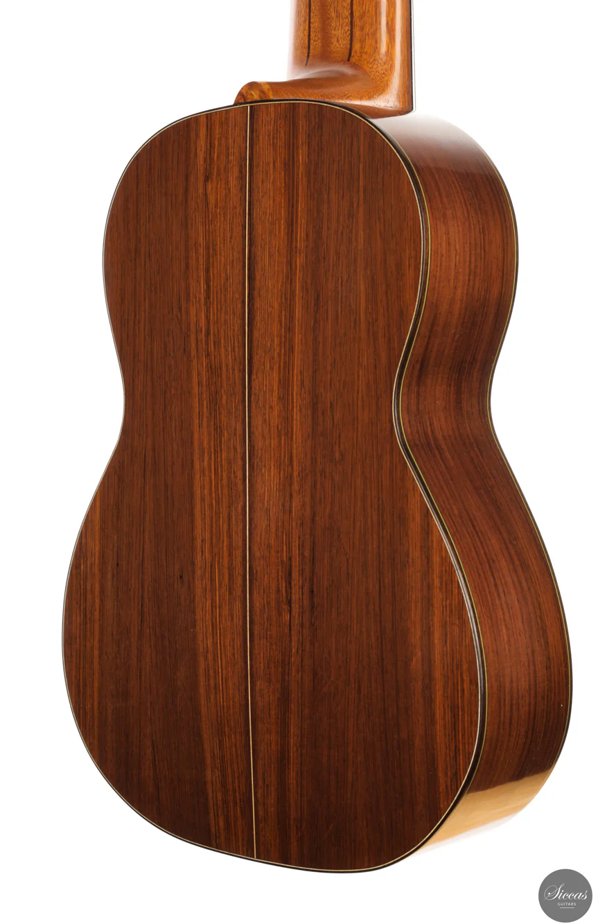 Heikki Rousu - 2025 No. 487 11-string - Image 24