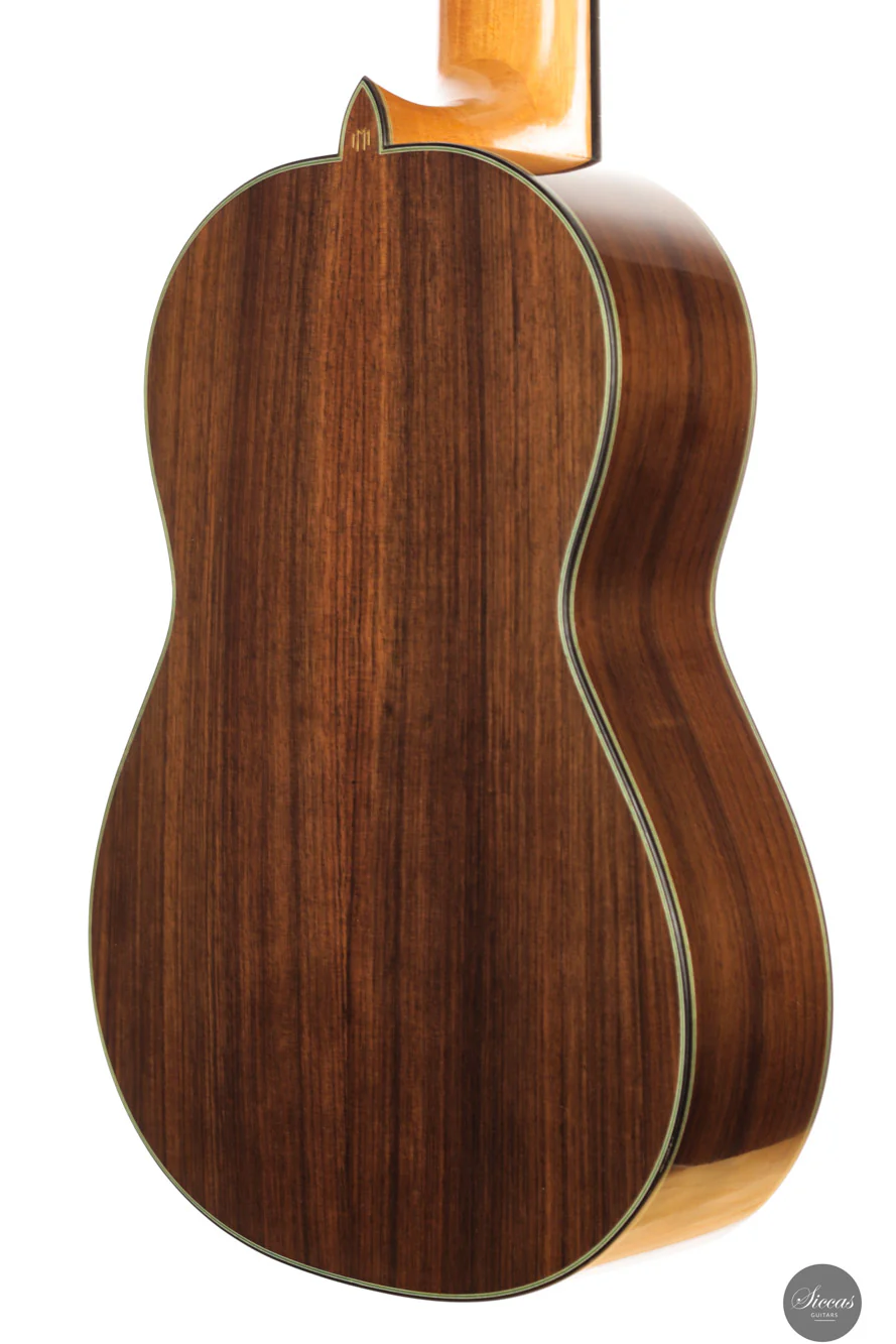 Marco Maguolo - 2022 - Ducale 10 strings Nr.279 - Image 24