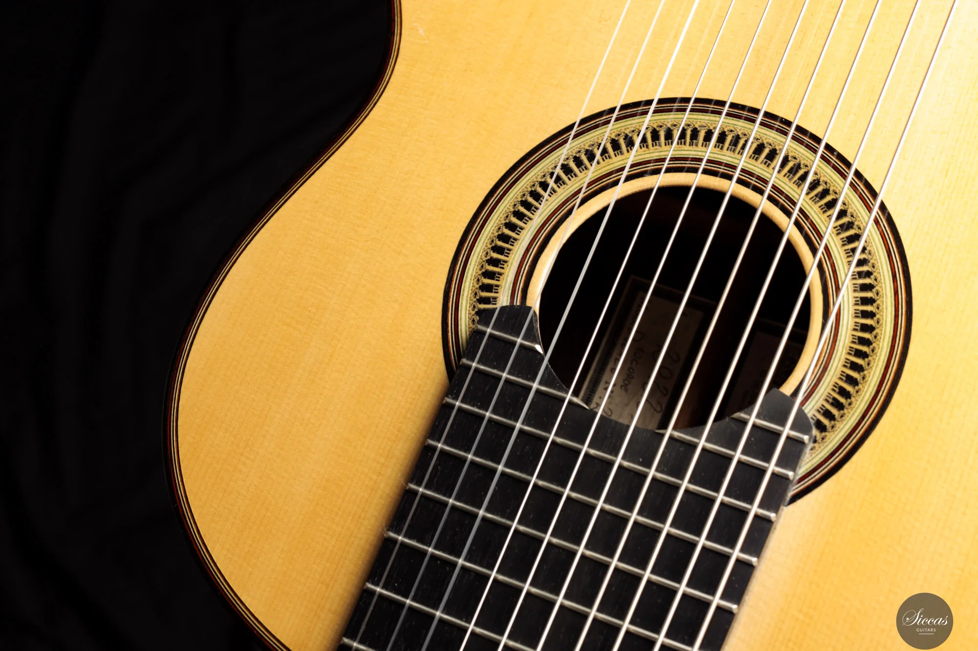 Marco Maguolo - 2022 - Ducale 10 strings Nr.279 - Image 4