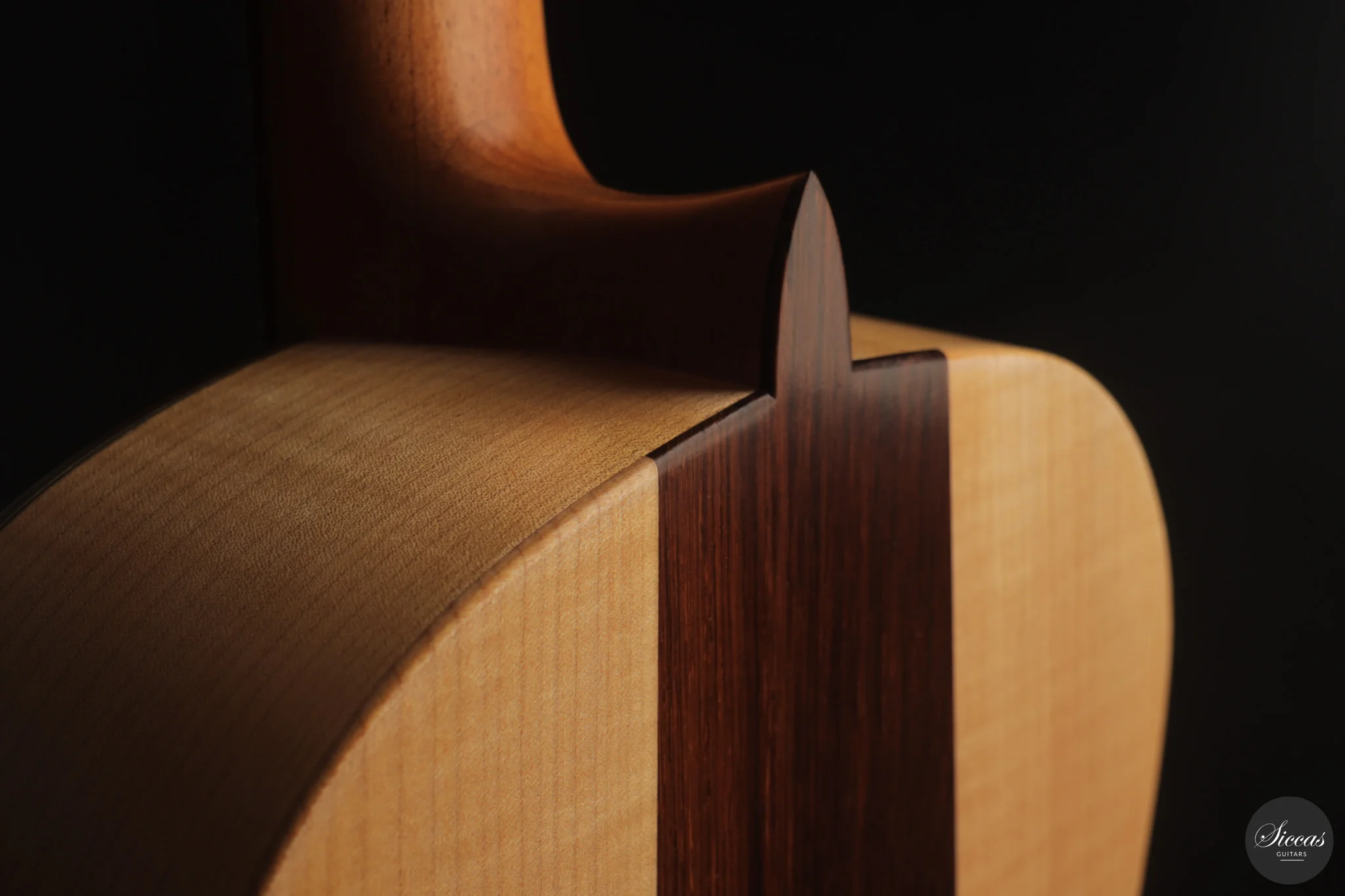 Otto Rauch - 2018 Estudio Model - Image 13