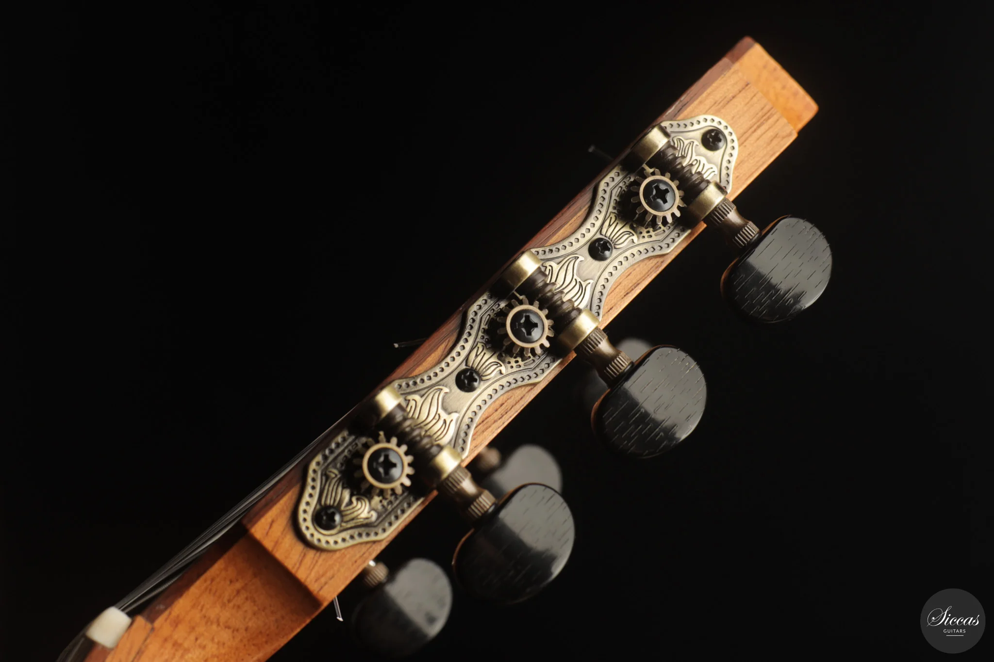 Otto Rauch - 2018 Estudio Model - Image 19