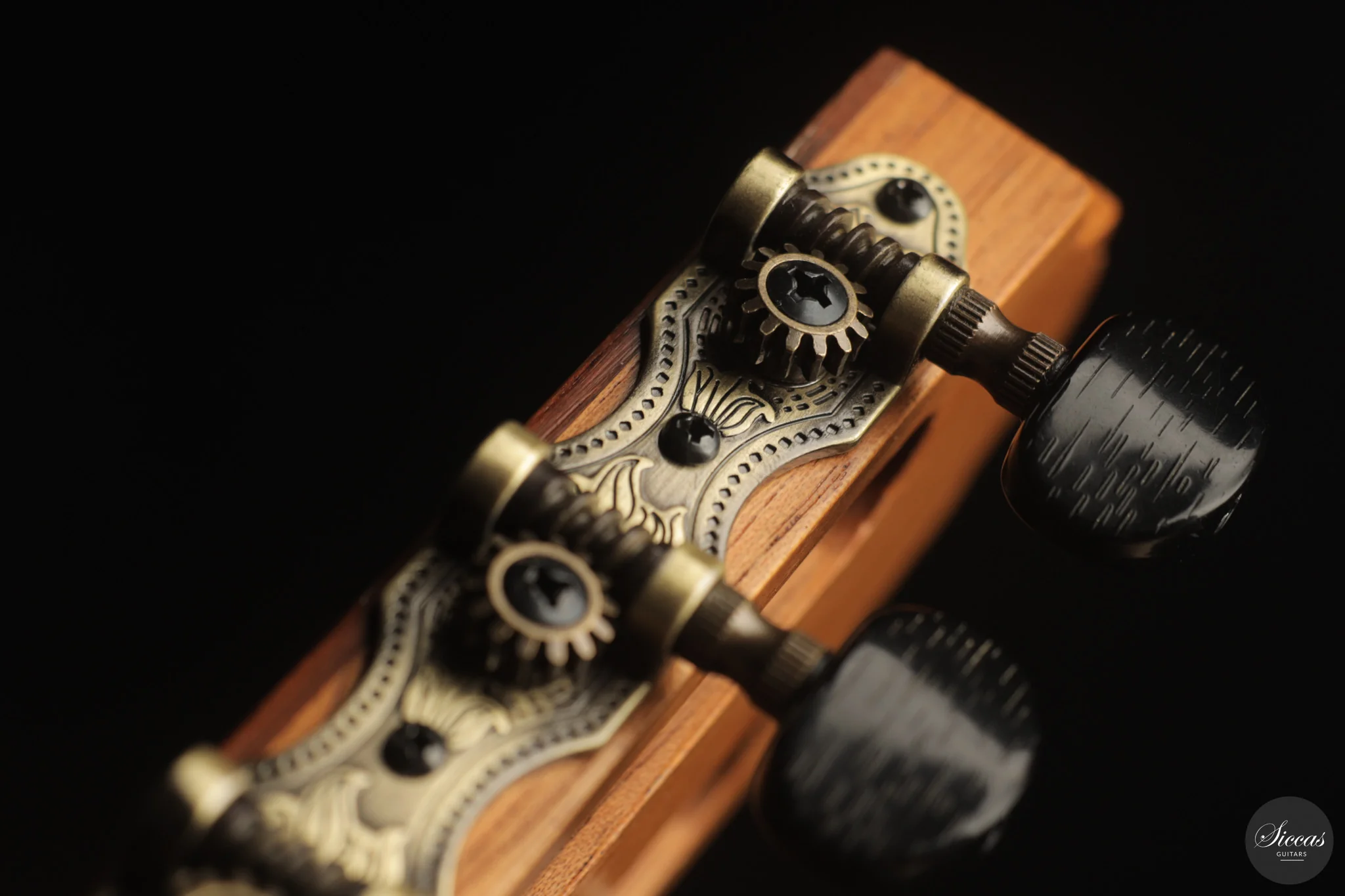 Otto Rauch - 2018 Estudio Model - Image 20
