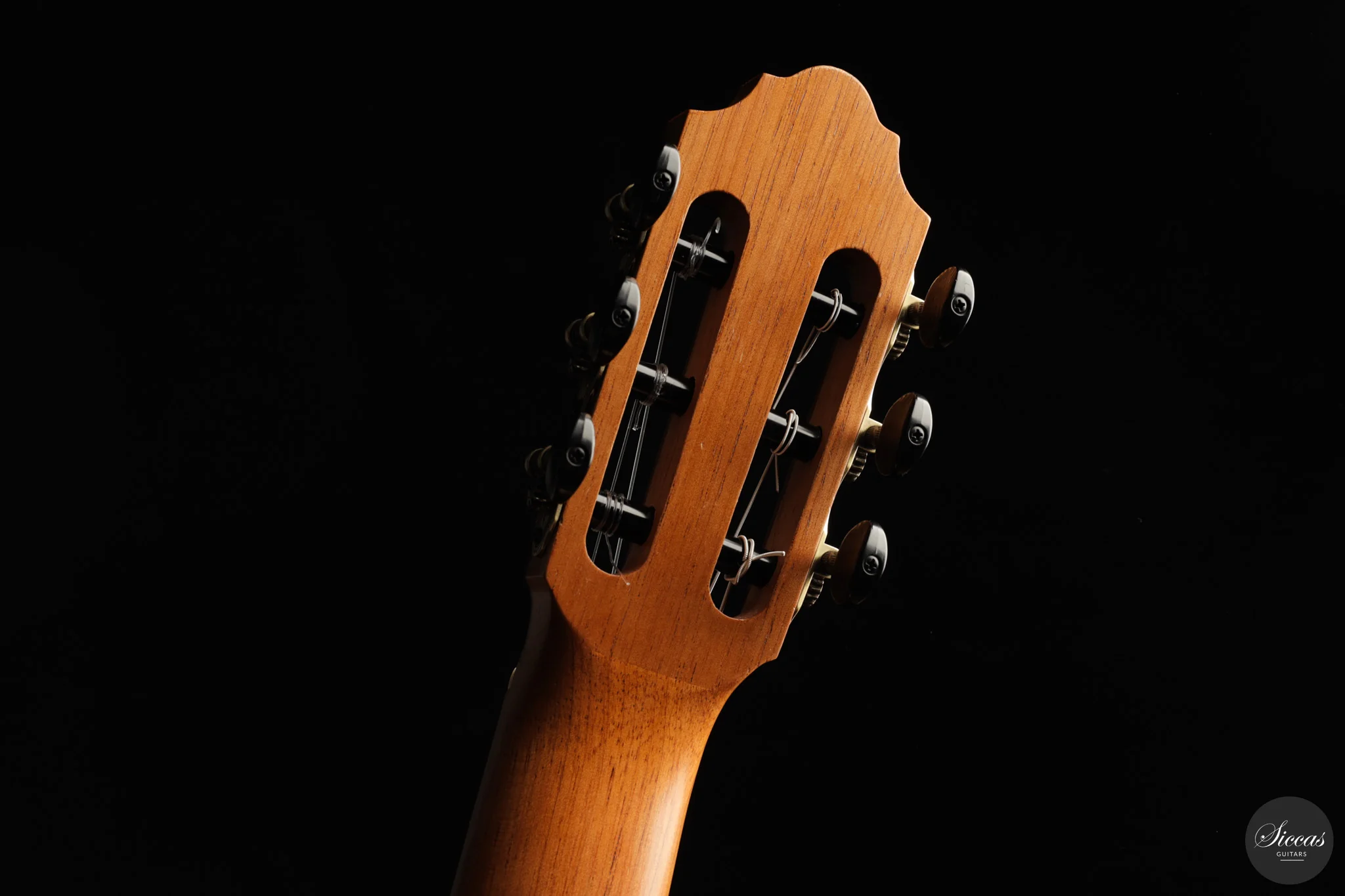 Otto Rauch - 2018 Estudio Model - Image 21