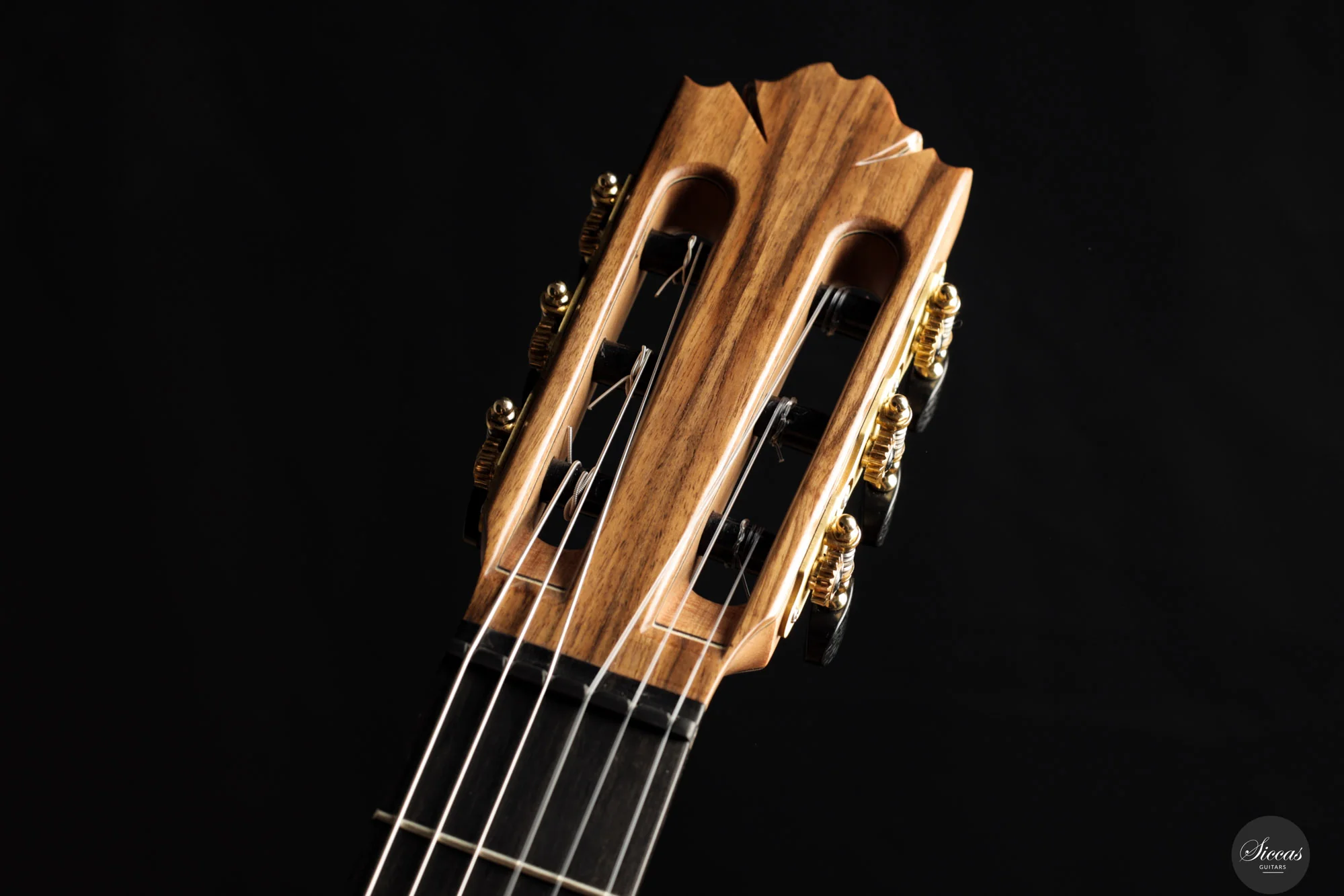 Ramin Fallah - 2025 - Spruce/Amazon rosewood C-Stage No.475 - Image 12