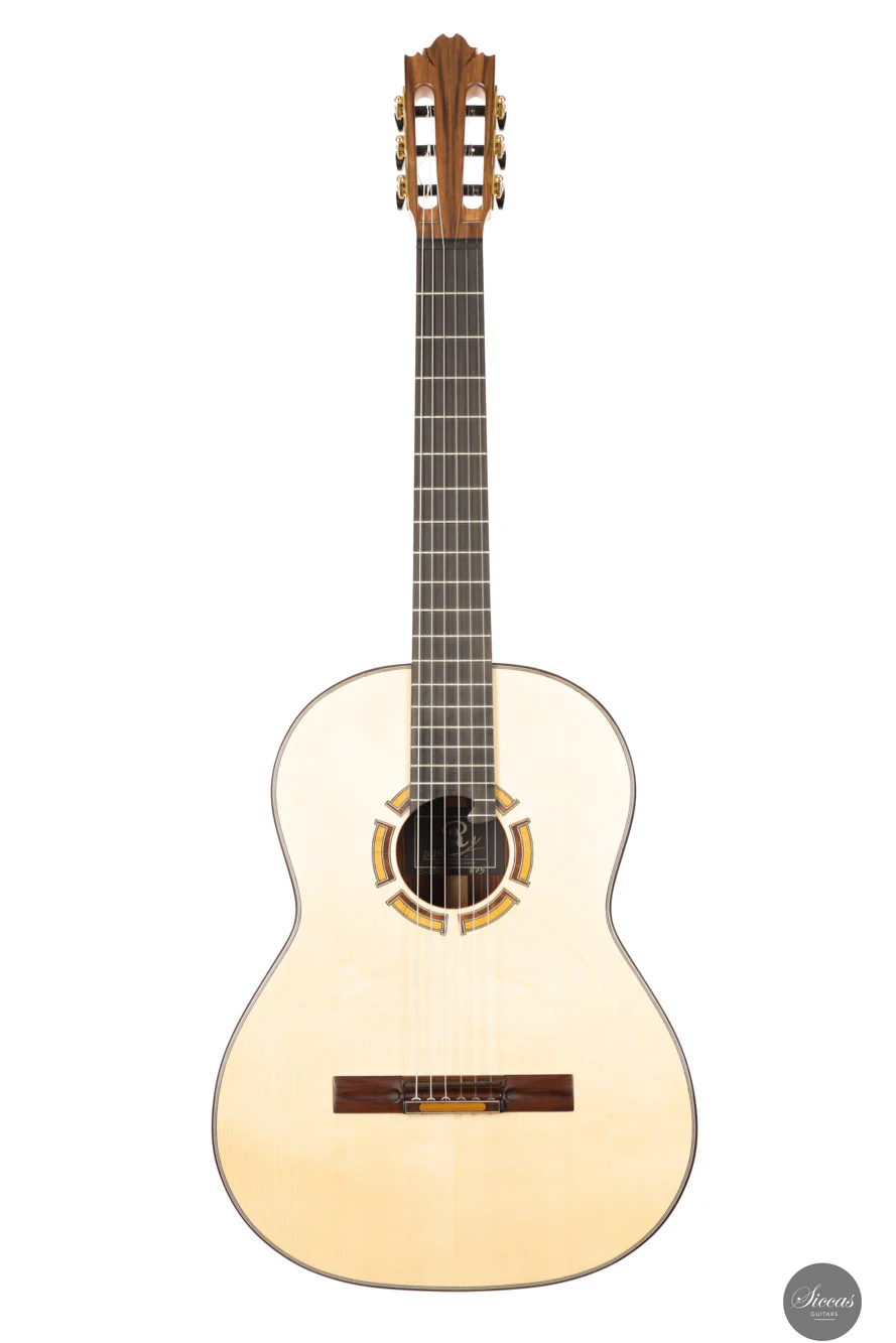 Ramin Fallah - 2025 - Spruce/Amazon rosewood C-Stage No.475 - Image 15