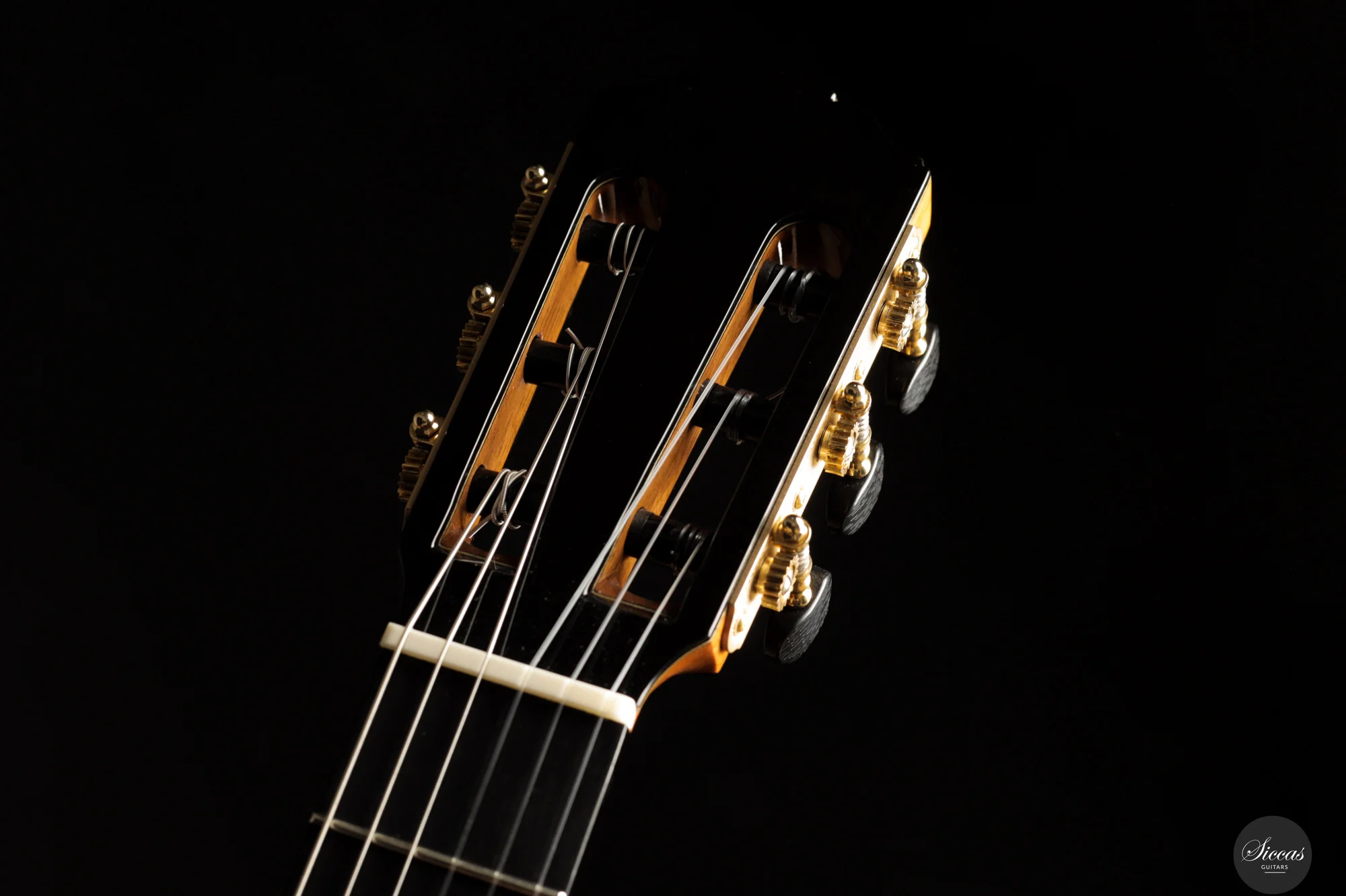 Siccas Luthiers - Creation Doubletop Triptych - Image 15