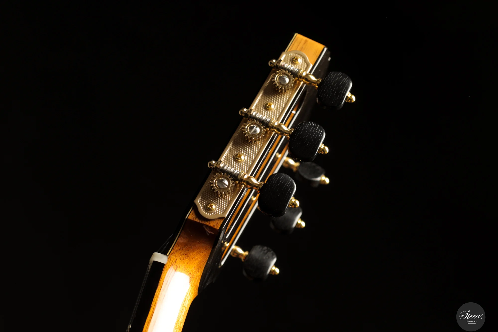 Siccas Luthiers - Creation Doubletop Triptych - Image 16