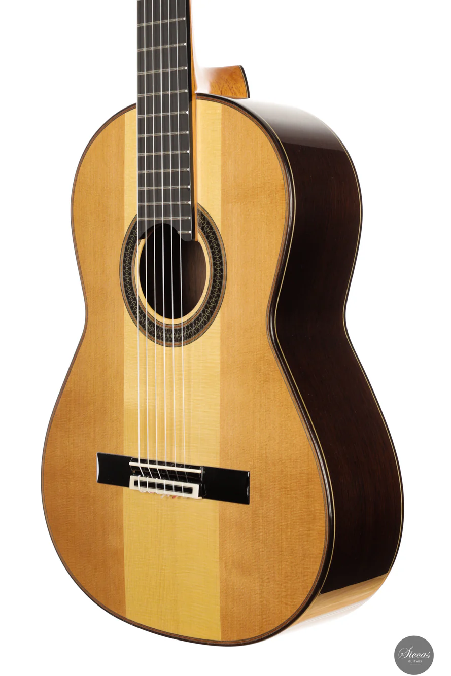 Siccas Luthiers - Creation Doubletop Triptych - Image 23