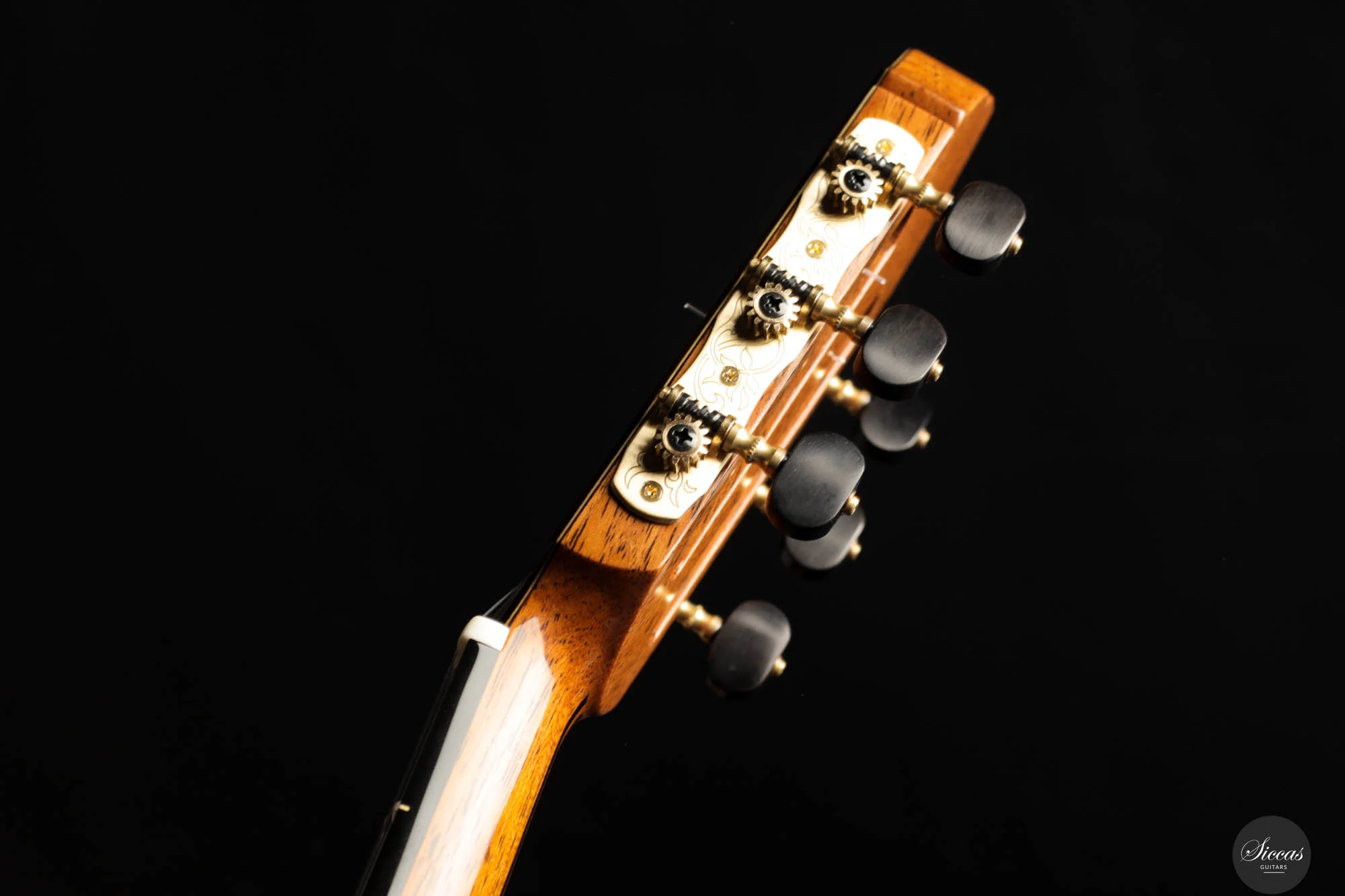 So Kimishima - 2025 - Stella Classic Spruce - Image 13