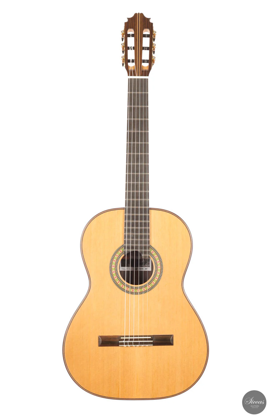 Steven Toon - 2024 - No. 118 DT - 64 cm - Image 12