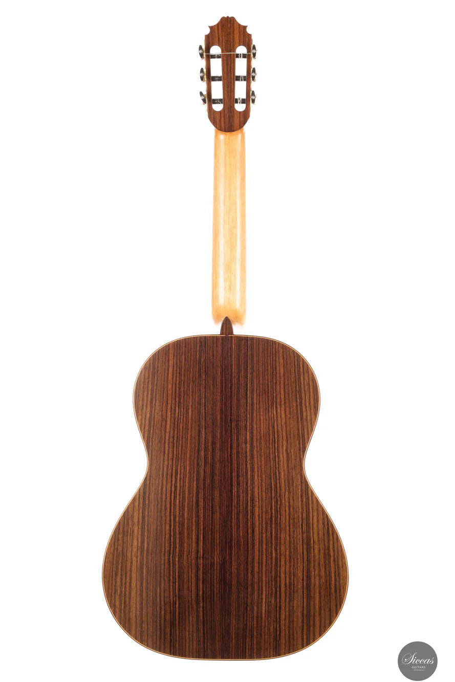 Steven Toon - 2024 - No. 118 DT - 64 cm - Image 19