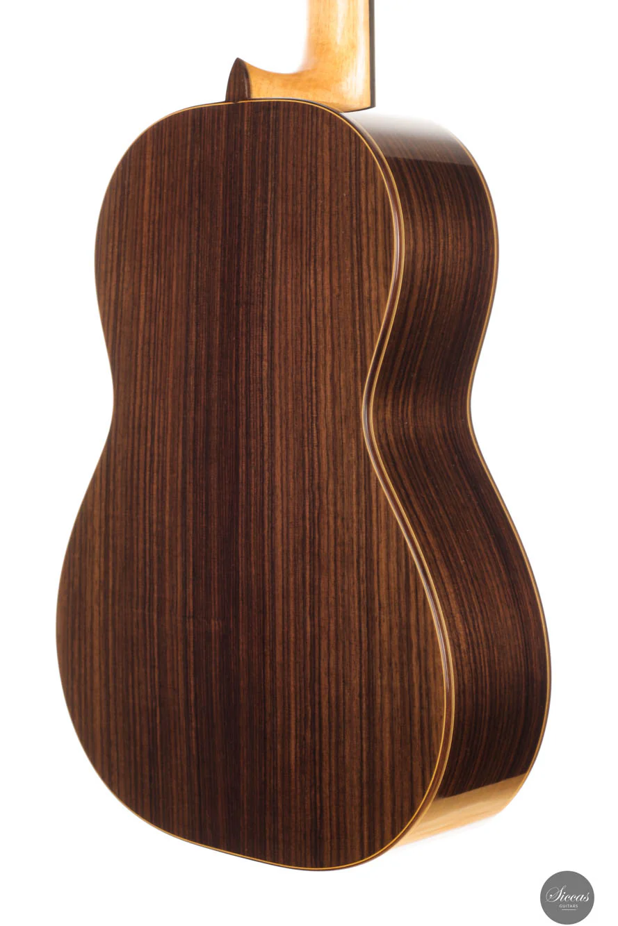 Steven Toon - 2024 - No. 118 DT - 64 cm - Image 21
