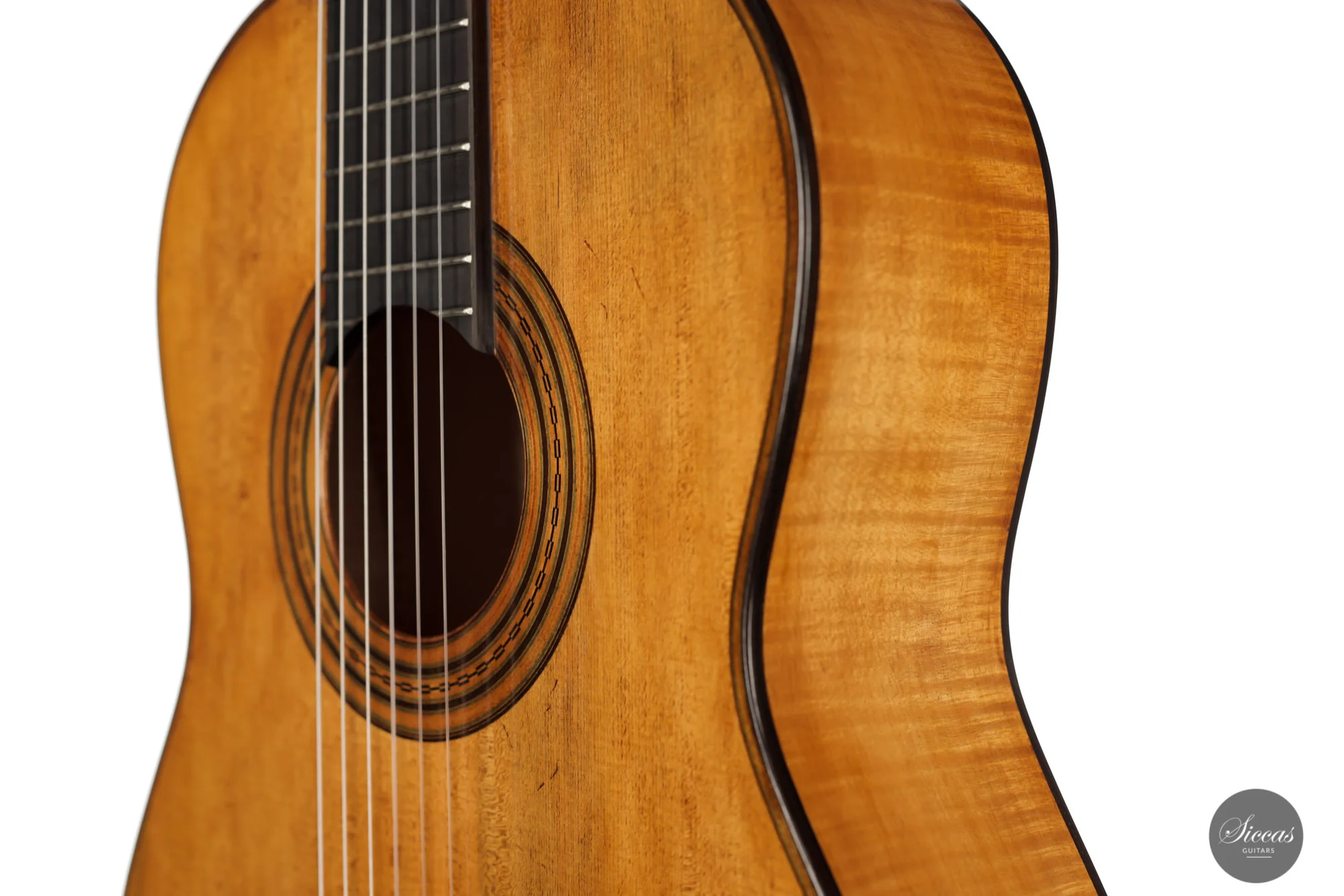 Wolfgang Jellinghaus - 2024 - Torres 114 Spruce / Maple - Image 19