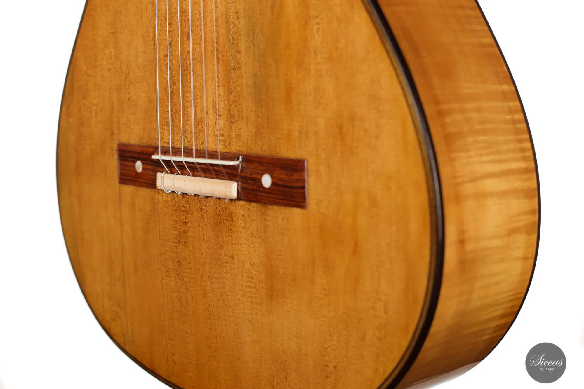 Wolfgang Jellinghaus - 2024 - Torres 114 Spruce / Maple - Image 20