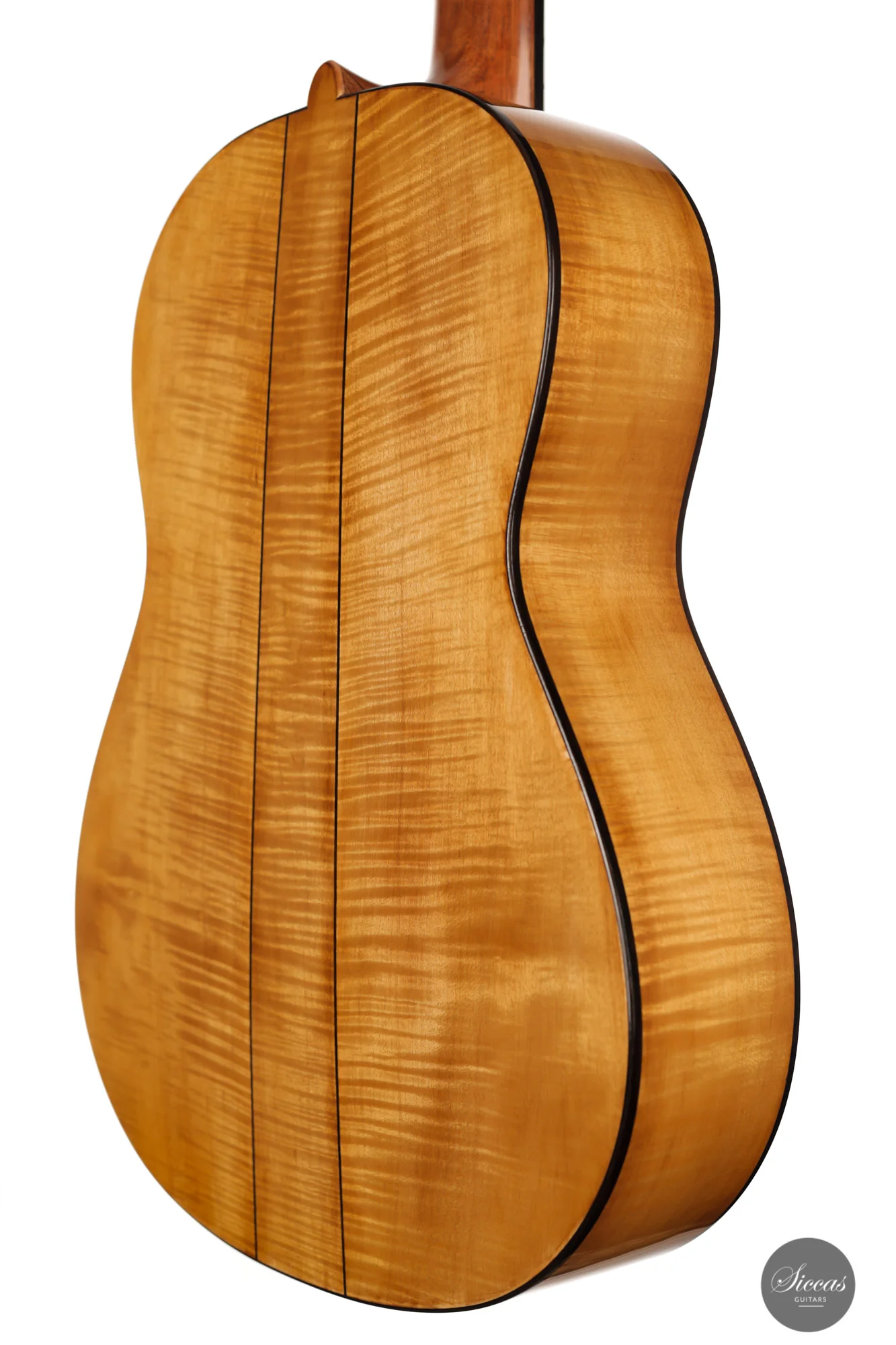 Wolfgang Jellinghaus - 2024 - Torres 114 Spruce / Maple - Image 21