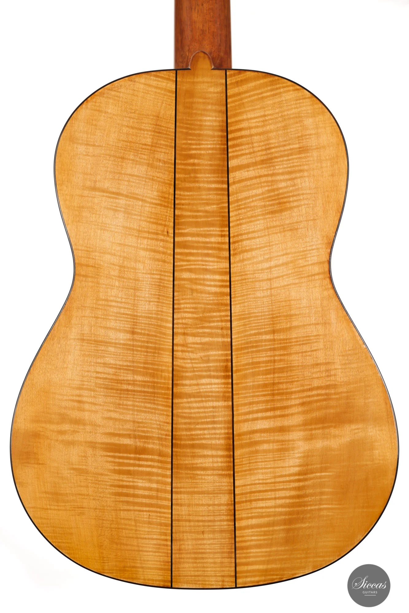 Wolfgang Jellinghaus - 2024 - Torres 114 Spruce / Maple - Image 22