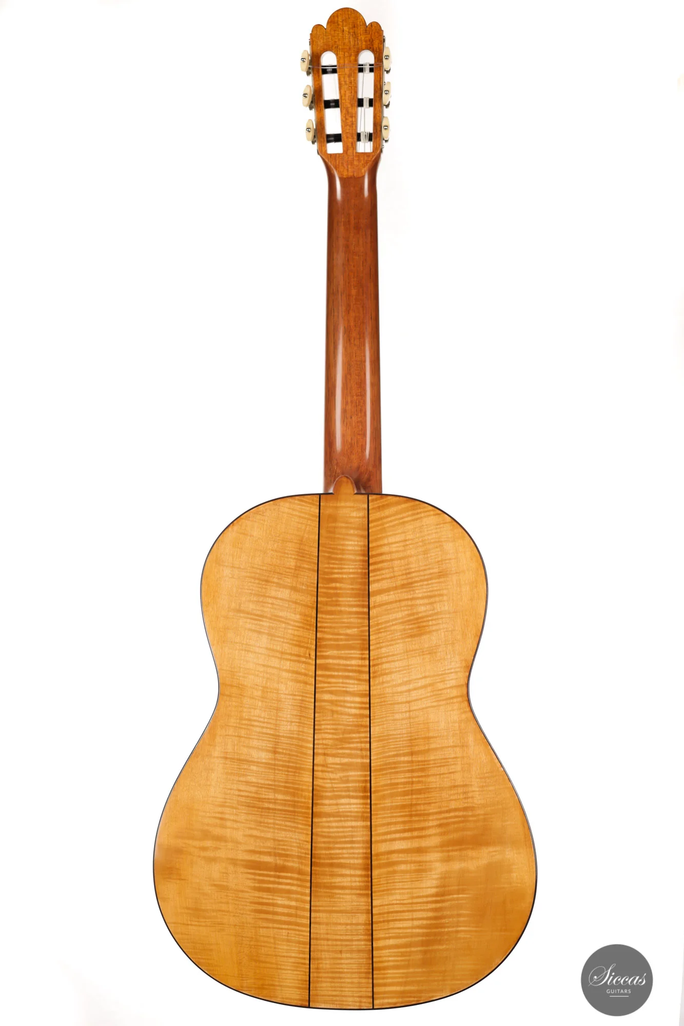 Wolfgang Jellinghaus - 2024 - Torres 114 Spruce / Maple - Image 23